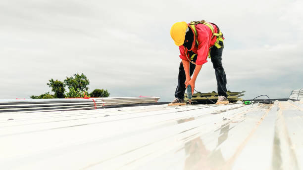 Best Roof Coating and Sealing  in Allentown, PA